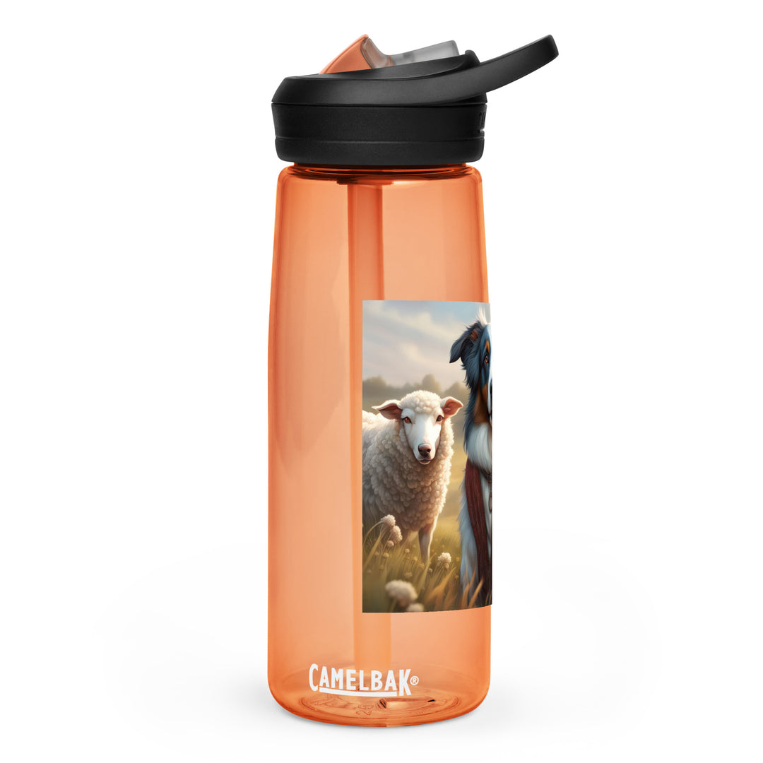 Australian Shepherd- Sports water bottle v4