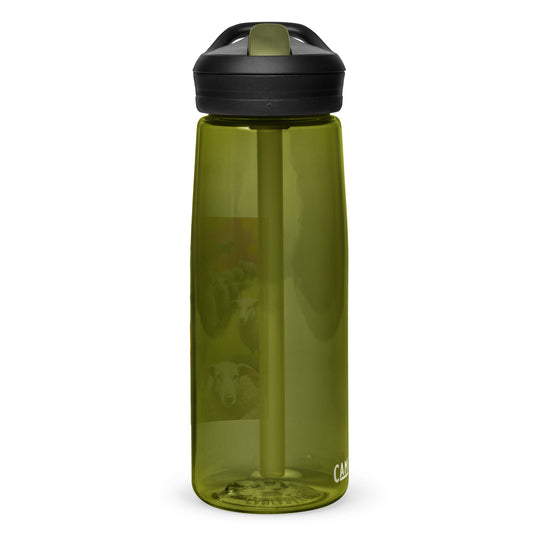 Australian Shepherd- Sports water bottle v2