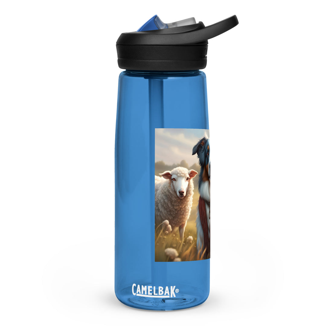 Australian Shepherd- Sports water bottle v4