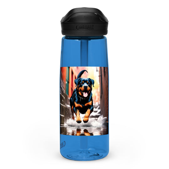 Rottweiler- Sports water bottle v2