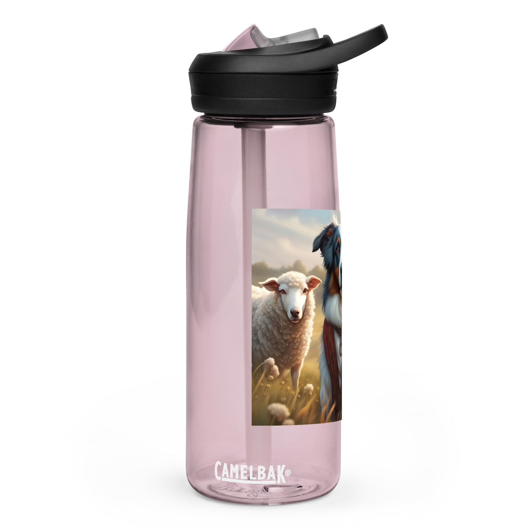 Australian Shepherd- Sports water bottle v4