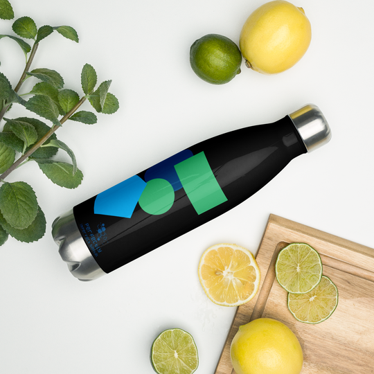 Stainless Steel Water Bottle