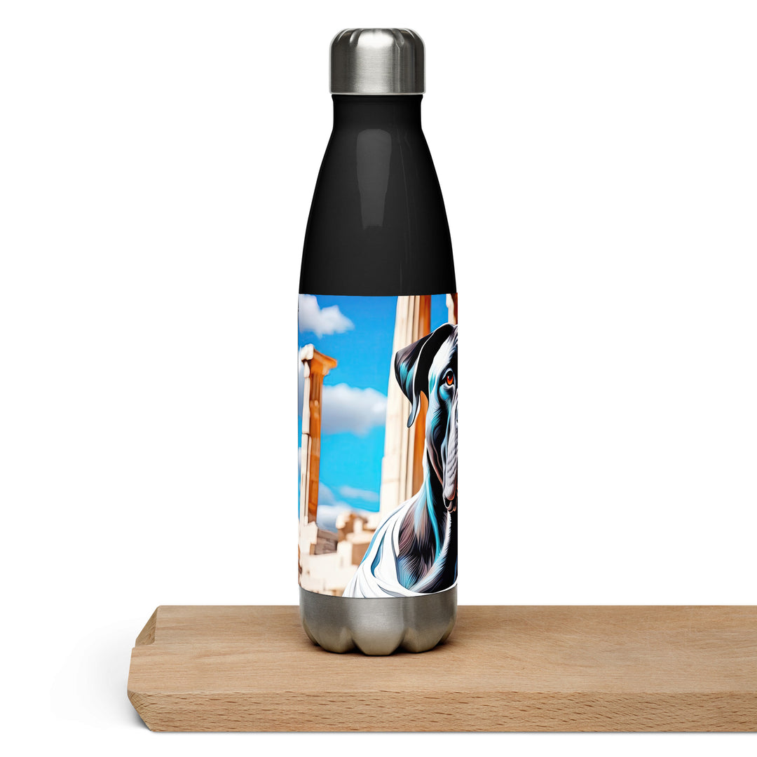 Stainless steel water bottle-Cane Corso