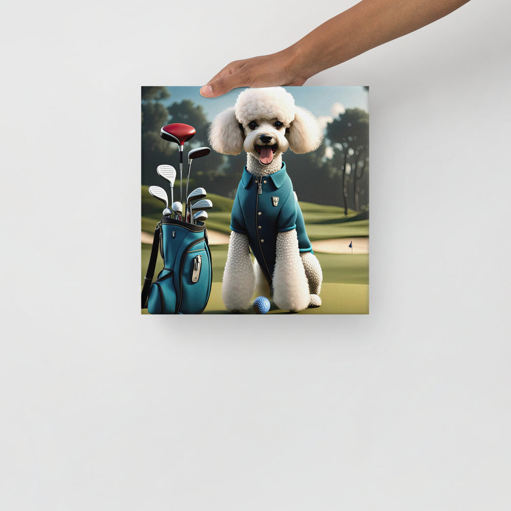 Poodle Golfer- Thin canvas