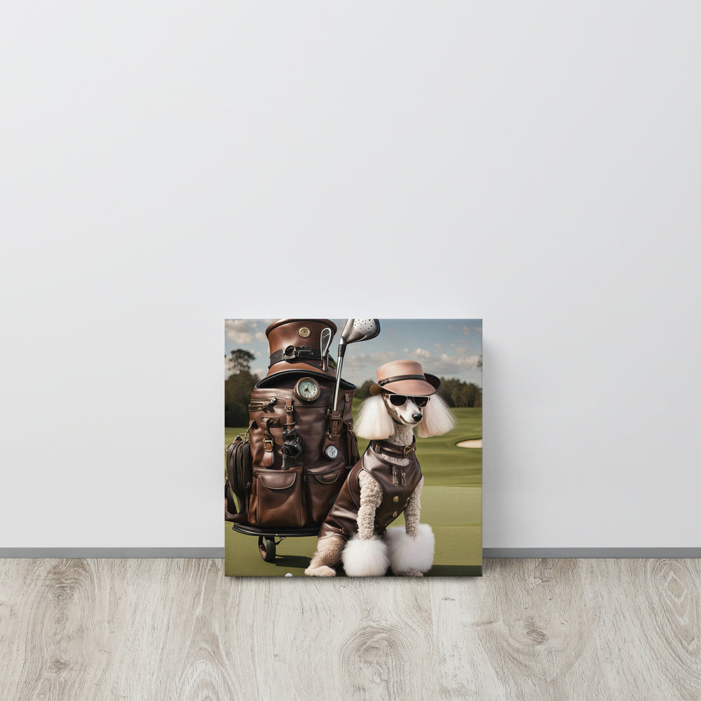 Poodle Golfer- Thin canvas v3