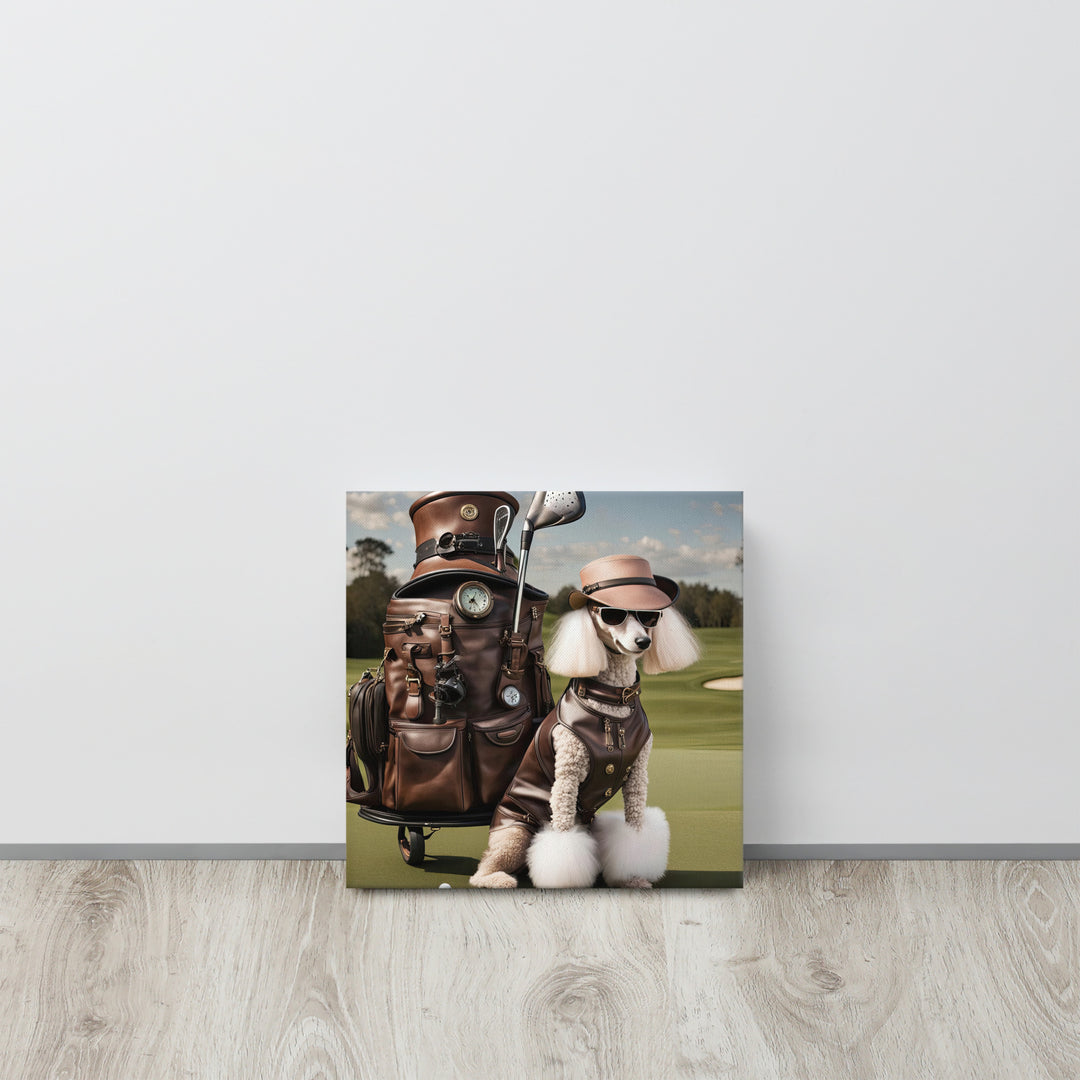Poodle Golfer- Thin canvas v3