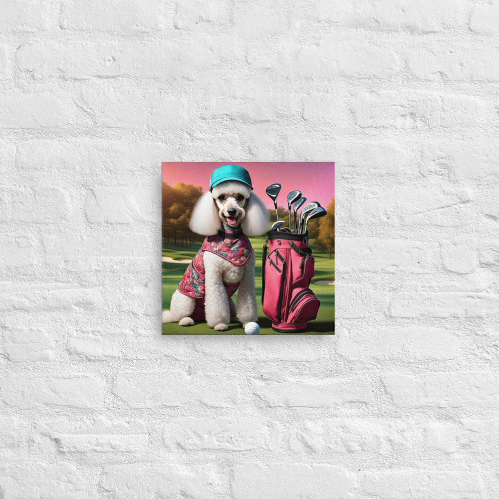 Poodle Golfer- Thin canvas v5