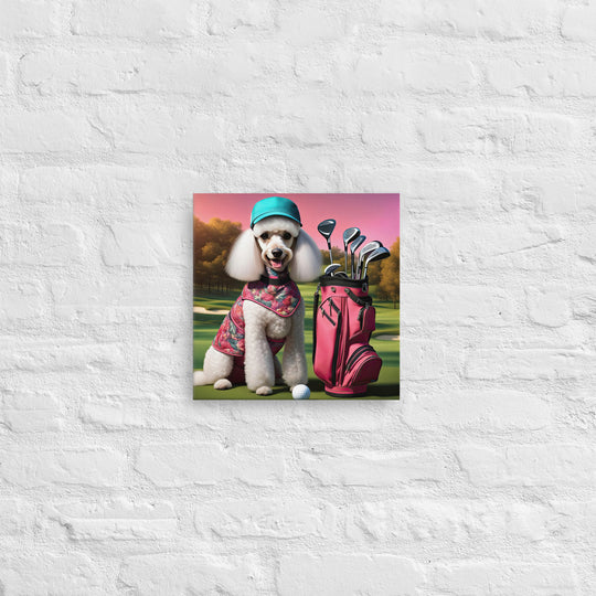 Poodle Golfer- Thin canvas v5