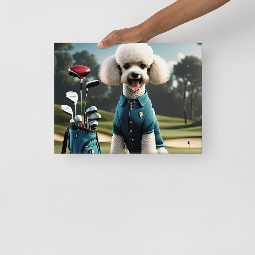 Poodle Golfer- Thin canvas