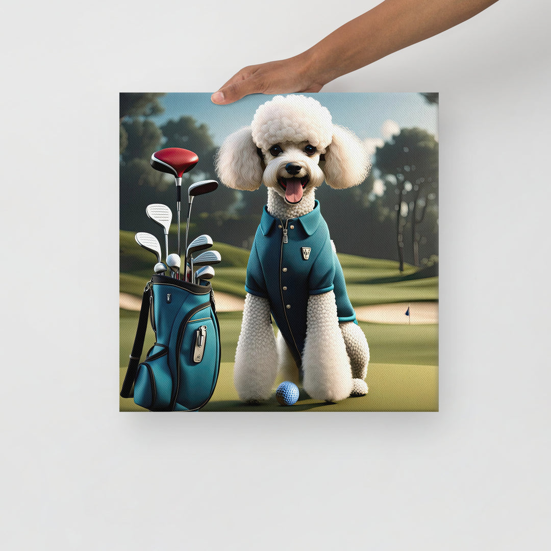 Poodle Golfer- Thin canvas