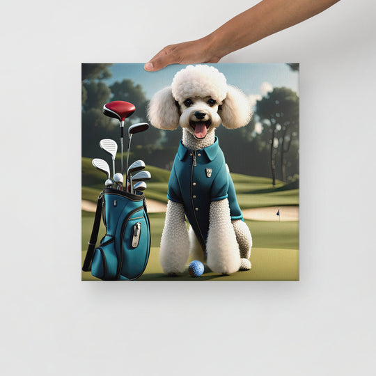Poodle Golfer- Thin canvas