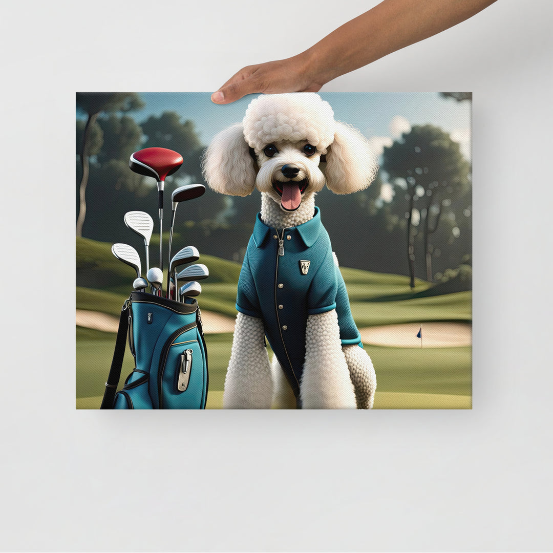 Poodle Golfer- Thin canvas