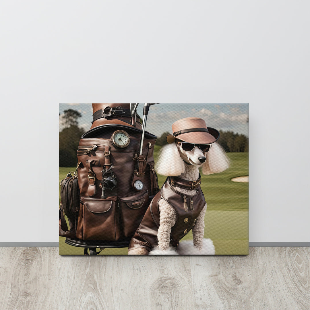 Poodle Golfer- Thin canvas v3