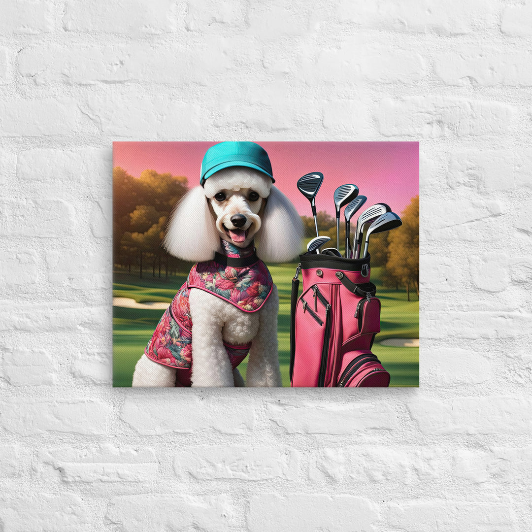 Poodle Golfer- Thin canvas v5
