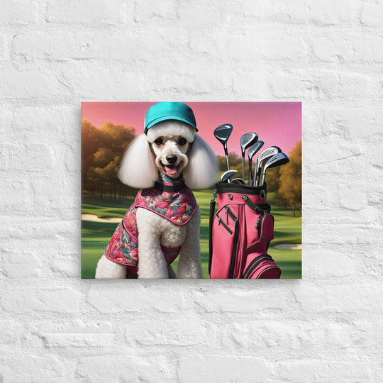Poodle Golfer- Thin canvas v5