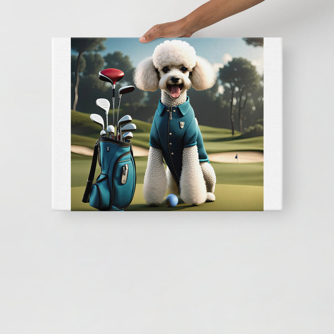 Poodle Golfer- Thin canvas